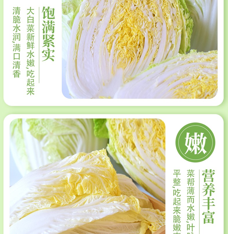 优邦精选    大白菜  农贸市场直供 5斤