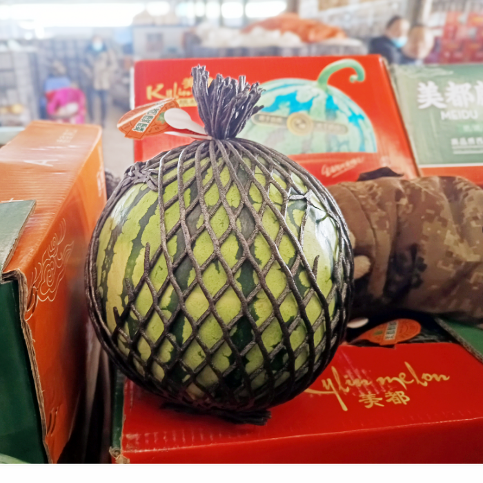 美都麒麟  4个/箱  28斤左右