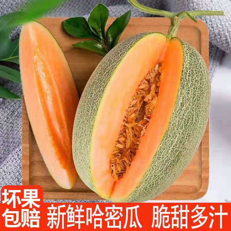 新疆  密瓜   2个起售