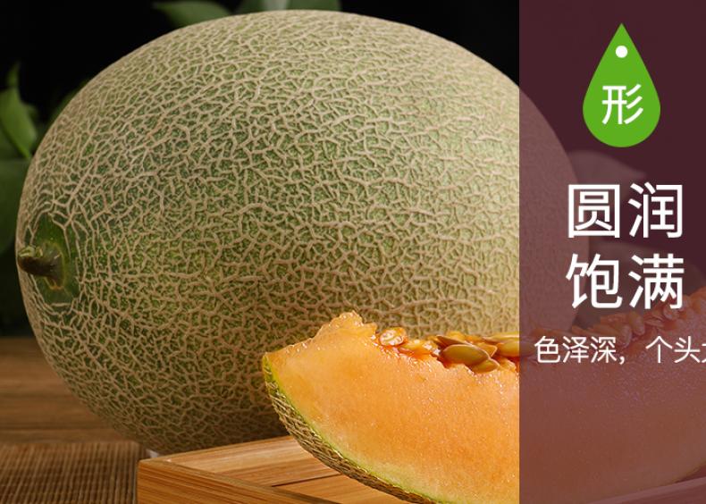 新疆  密瓜   2个起售