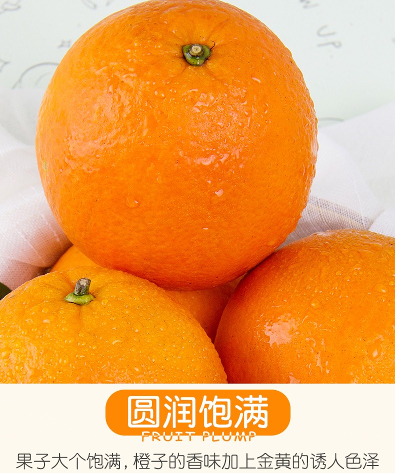 正宗江西赣南脐橙