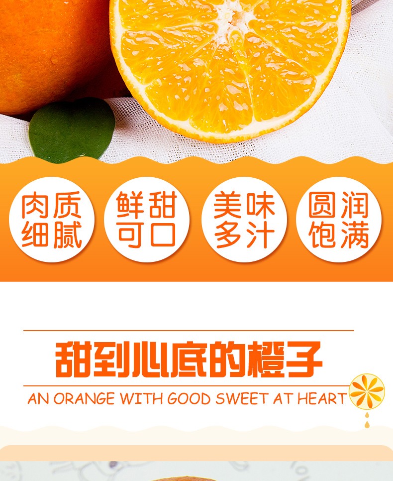 正宗江西赣南脐橙
